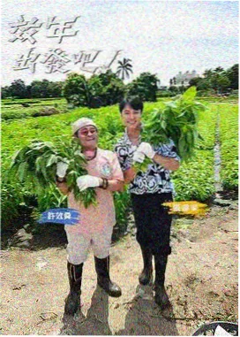 小v影视第三阶段综艺节奏示例图